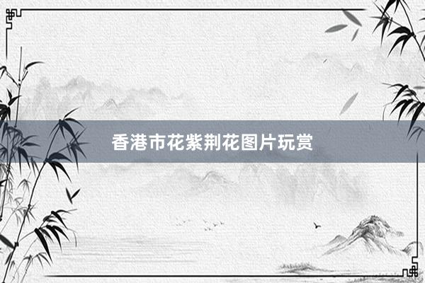 香港市花紫荆花图片玩赏