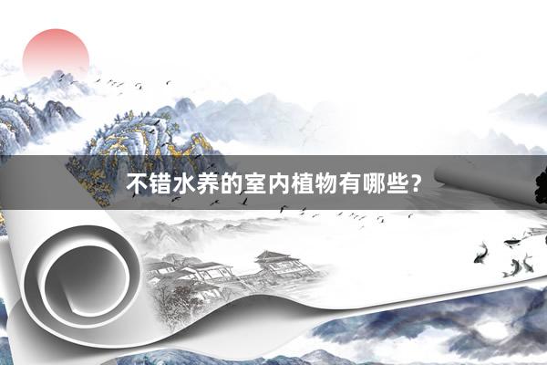 不错水养的室内植物有哪些？