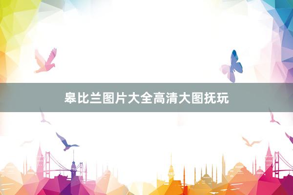 皋比兰图片大全高清大图抚玩