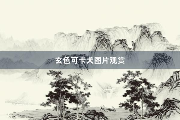 玄色可卡犬图片观赏