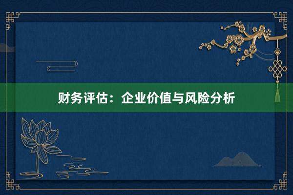 财务评估：企业价值与风险分析